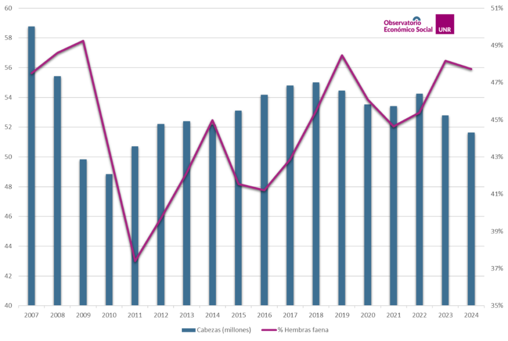 Rodeo bovino en millones de cabezas y porcentaje de hembras en la faena en Argentina, de 2007 a 2024