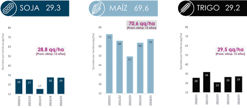 Rindes de soja, maíz y trigo en quintales por hectárea, campañas 2020/21 a 2024/25, y su promedio de 12 años